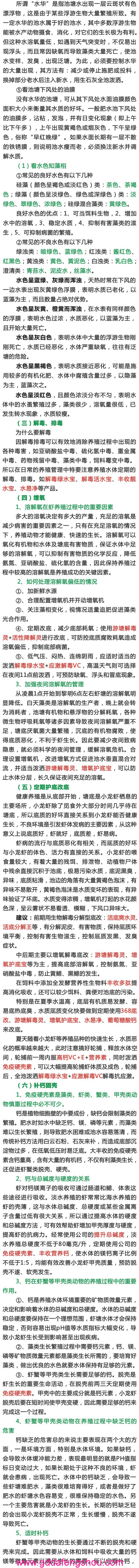 大豐收-網站-養(yǎng)殖模式-小龍蝦精養(yǎng)模式-21-20190804.jpg