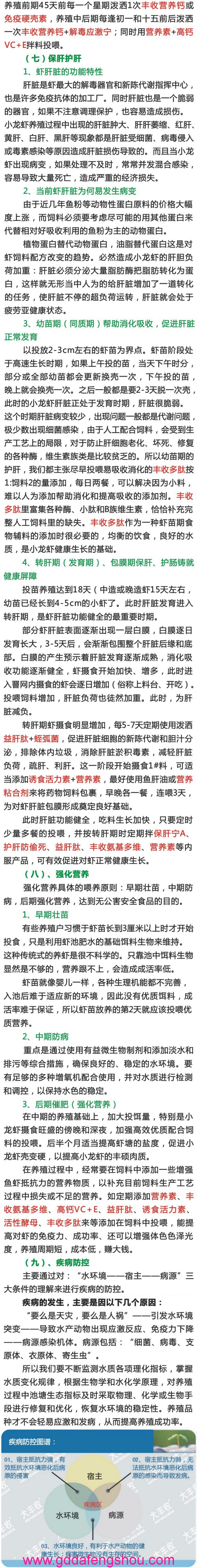 大豐收-網站-養(yǎng)殖模式-小龍蝦精養(yǎng)模式-22-20190804.jpg